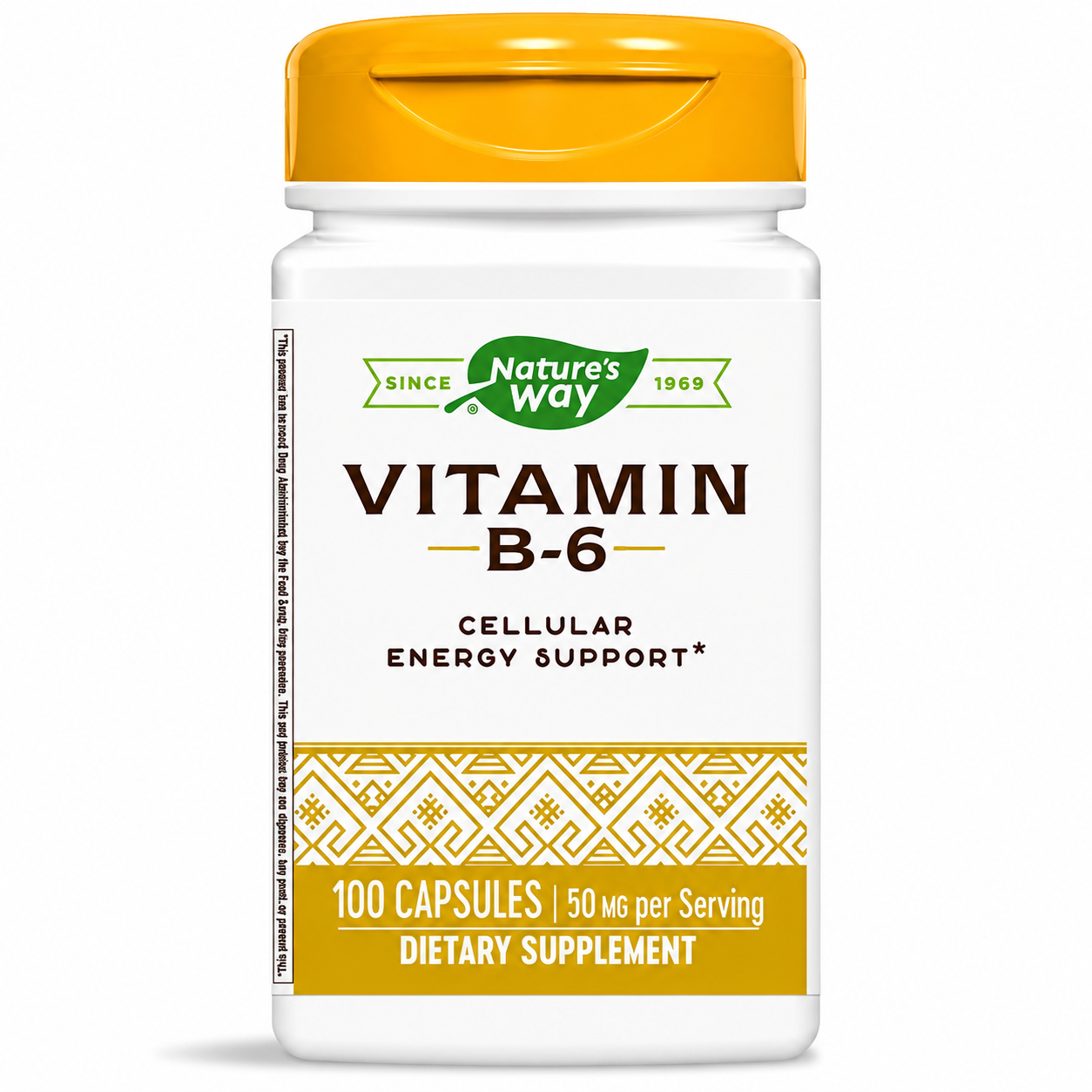 Vitamin B6 (100 Caps)